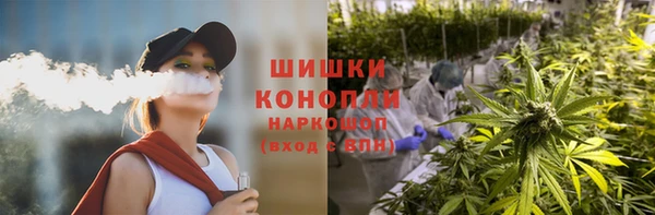 spice Богородицк