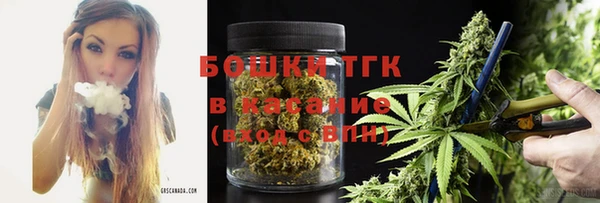spice Богородицк