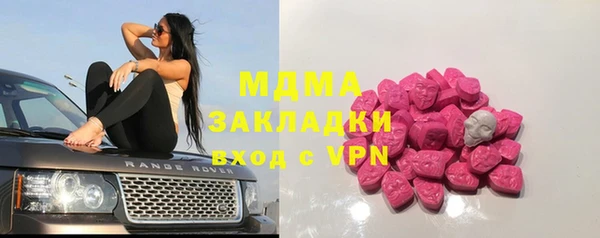 spice Богородицк