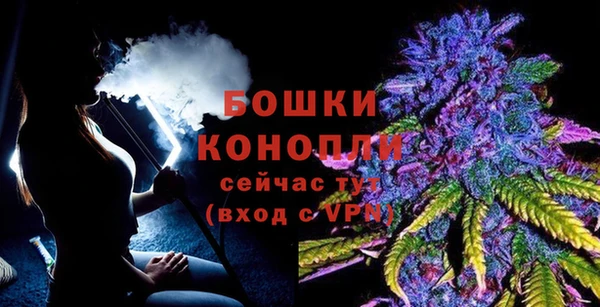 дживик Ступино
