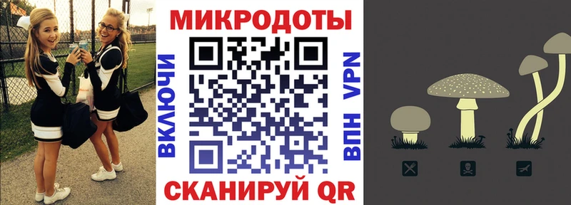 Галлюциногенные грибы мухоморы  Когалым 