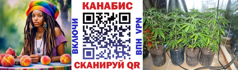 Бошки Шишки OG Kush  Когалым 